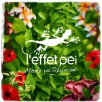 Visuel Tropical Flora - L'effet Péi - Mode in Réunion